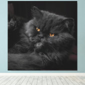 Cat_20180101_by_JAMFoto Leinwanddruck (Insitu (Holzboden))
