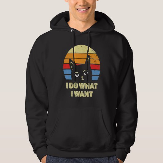 Cat 2022 Retro Cat I Do What I Want Cat 15 Hoodie (Vorderseite)