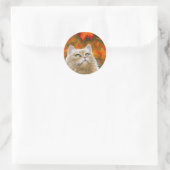 Cat 598 Persian Fall Autumn Runder Aufkleber (Tasche)