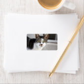Cat Address Label Adressaufkleber (Insitu)