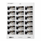 Cat Address Label Adressaufkleber (Vorne)