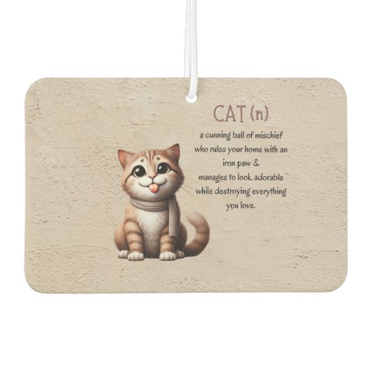 Cat Air Freshener - Niedliche Autodekoration Autolufterfrischer (Vorderseite)