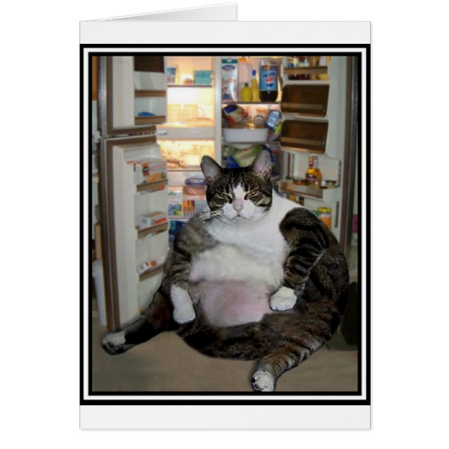 CAT AM KÜHLSCHRANK (Vorne)