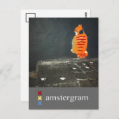 Cat Amsterdam Postkarte (Vorne/Hinten)