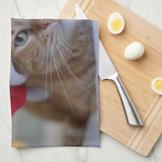 Cat and Christmas lights Geschirrtuch (Viertel Falte)