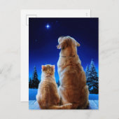 Cat and Dog Christmas Miracle Einladungspostkarte (Vorne/Hinten)