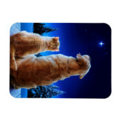 Cat and Dog Christmas Miracle Magnet (Horizontal)