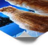 Cat and Dog Christmas Miracle Poster (Ecke)