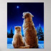 Cat and Dog Christmas Miracle Poster (Vorne)