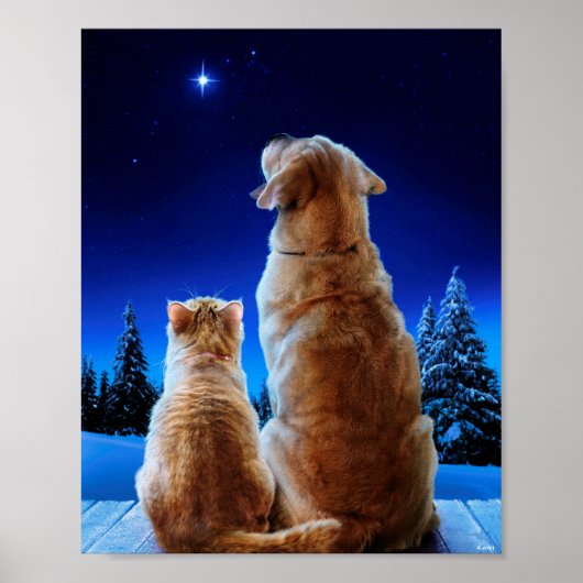 Cat and Dog Christmas Miracle Poster (Vorne)