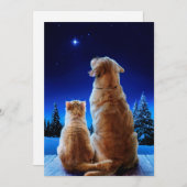 Cat and Dog Christmas Wunder Einladung (Vorne/Hinten)