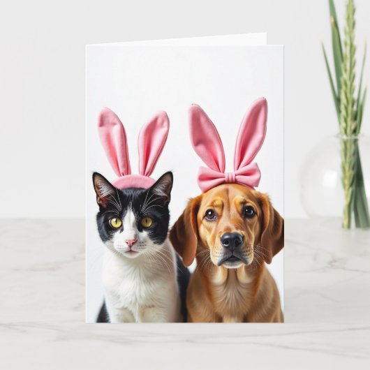 Cat And Dog Friends Fun Card Karte (Vorderseite)