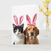Cat And Dog Friends Fun Card Karte (Gelbe Blume)