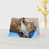 Cat and Fish Funny Vatertag Karte (Gelbe Blume)