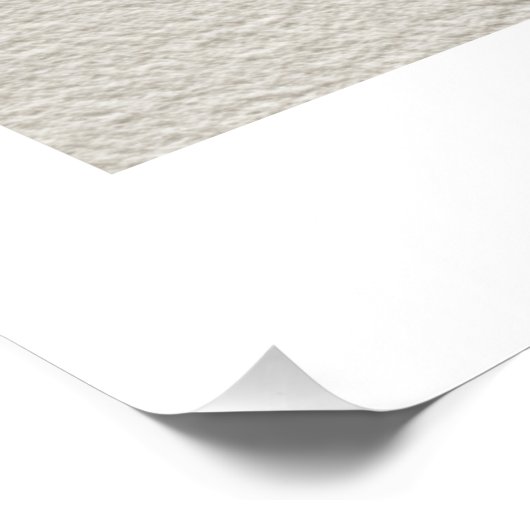 Cat and Fish v10 Poster (Ecke)