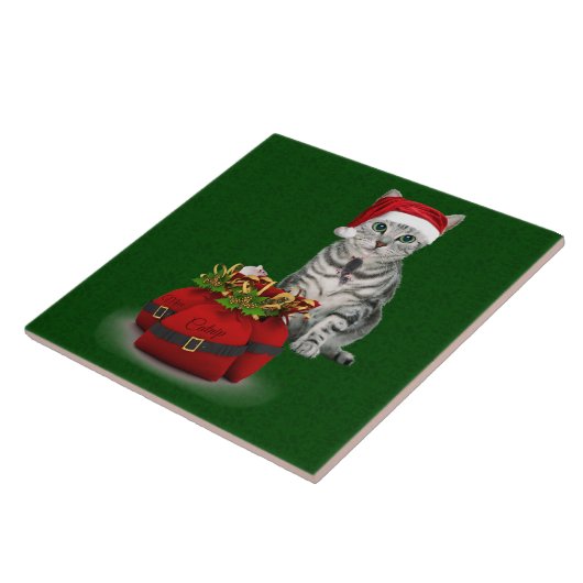 Cat and Mouse Christmas Tile Fliese (Seite)