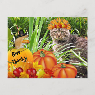Cat and Mouse Erntedank / Give Dankage Collage Postkarte