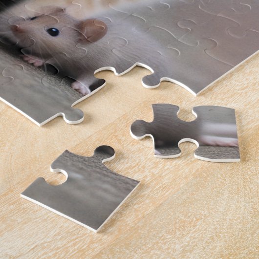 Cat and Mouse Puzzle (Seite)