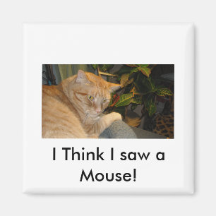 Cat and Mouse Spaß Magnet