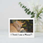 Cat and Mouse Spaß Postkarte (Stehend Vorderseite)
