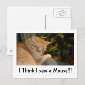Cat and Mouse Spaß Postkarte (Vorne/Hinten)