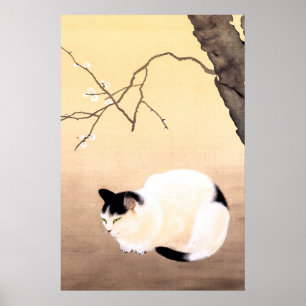 Cat and Plum Blossoms - Hishida Shunso  Poster