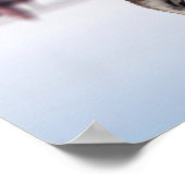 Cat and Tiger Water Reflection - Erfolg, Stress Poster (Ecke)