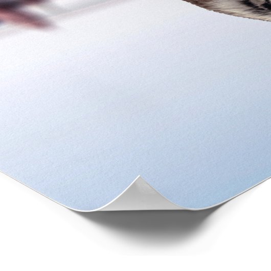 Cat and Tiger Water Reflection - Erfolg, Stress Poster (Ecke)