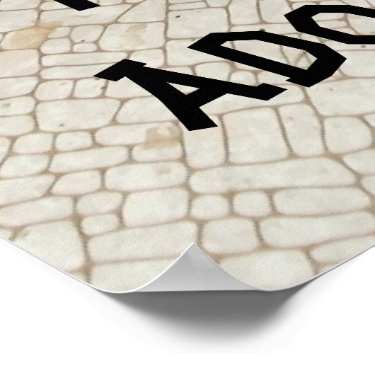 Cat and Tortoise - "Du bist Adoptiert" Poster (Ecke)