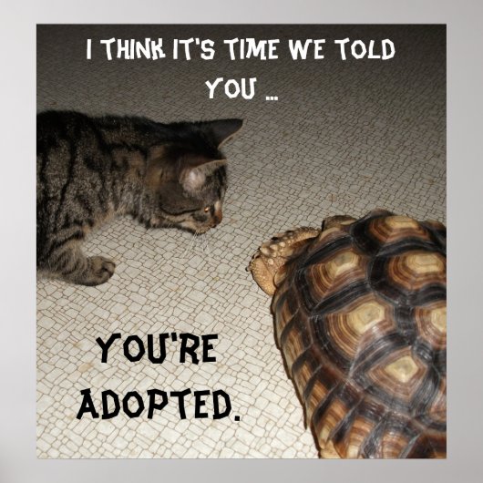 Cat and Tortoise - "Du bist Adoptiert" Poster (Vorne)