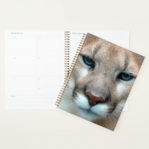 Cat Animal Destiny von Cougar Mountain Lion Planer