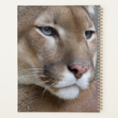 Cat Animal Destiny von Cougar Mountain Lion Planer (Rückseite)