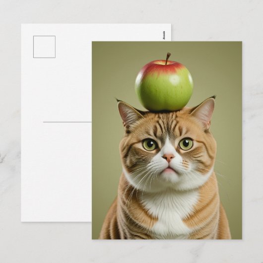 Cat Apple Feiertagspostkarte (Vorne/Hinten)