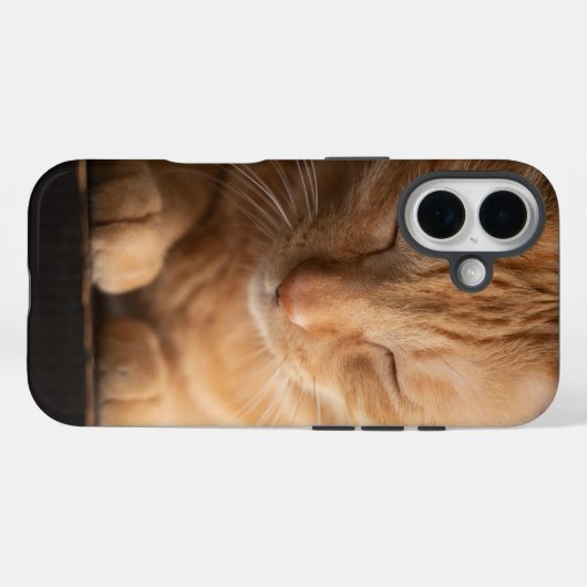 Cat Apple Iphone 16 Case (Rückseite (Horizontal))