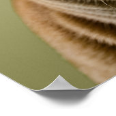 Cat Apple Poster (Ecke)