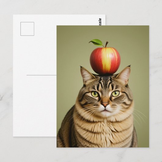 Cat Apple Postkarte (Vorne/Hinten)