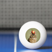 Cat Apple Tischtennisball (Netto)