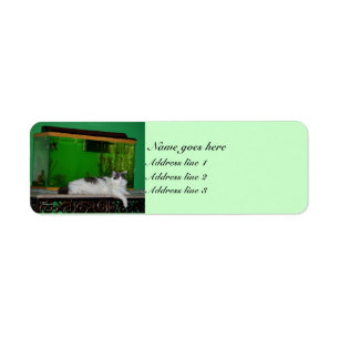Cat aquarium Label