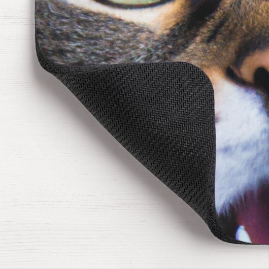 Cat Art | Überraschte Kitty | Funny Kitten Mousepa Mousepad (Ecke)