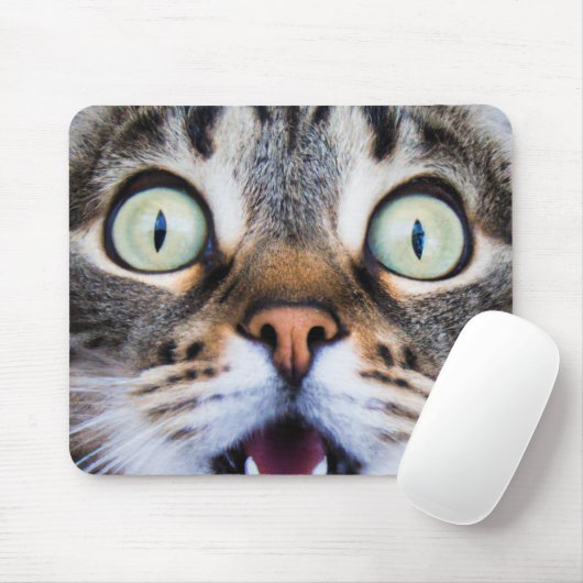 Cat Art | Überraschte Kitty | Funny Kitten Mousepa Mousepad (Mit Mouse)