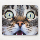 Cat Art | Überraschte Kitty | Funny Kitten Mousepa Mousepad (Vorne)