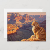 Cat at Grand Canyon National Park Postkarte (Vorne/Hinten)