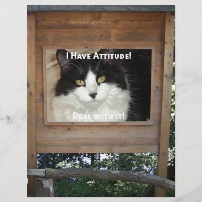 Cat Attitude (Vorderseite)