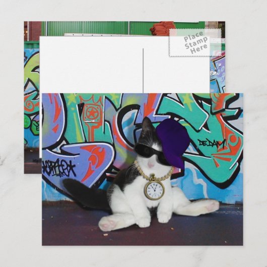 Cat Attitude.........Cat-itude! Postkarte (Vorne/Hinten)