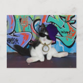 Cat Attitude.........Cat-itude! Postkarte (Vorderseite)