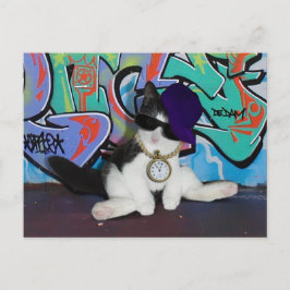 Cat Attitude.........Cat-itude! Postkarte