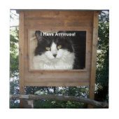 Cat Attitude Fliese (Vorderseite)