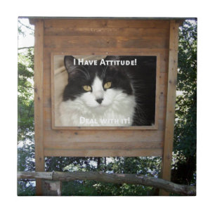 Cat Attitude Fliese