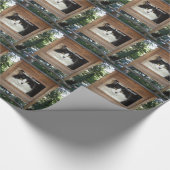 Cat Attitude Geschenkpapier (Ecke)