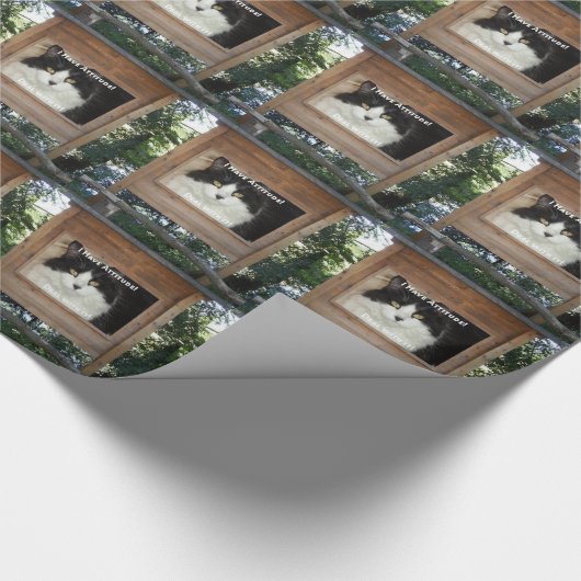 Cat Attitude Geschenkpapier (Ecke)